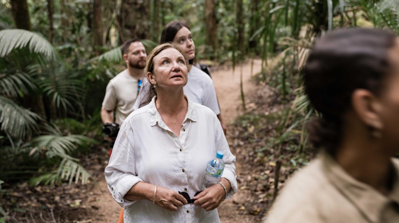 Guide taking a group on the Dreamtime Walk through Mossman Gorge
