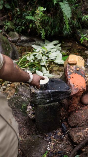 Man pointing at rock painting demonstration with flora