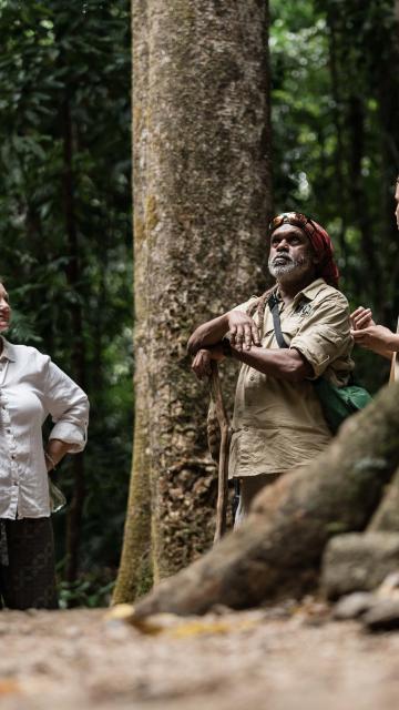 Dreamtime Walk Tour Guide taking a group through Mossman Gorge