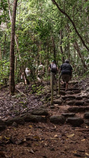 Mossman Gorge Dreamtime Walk