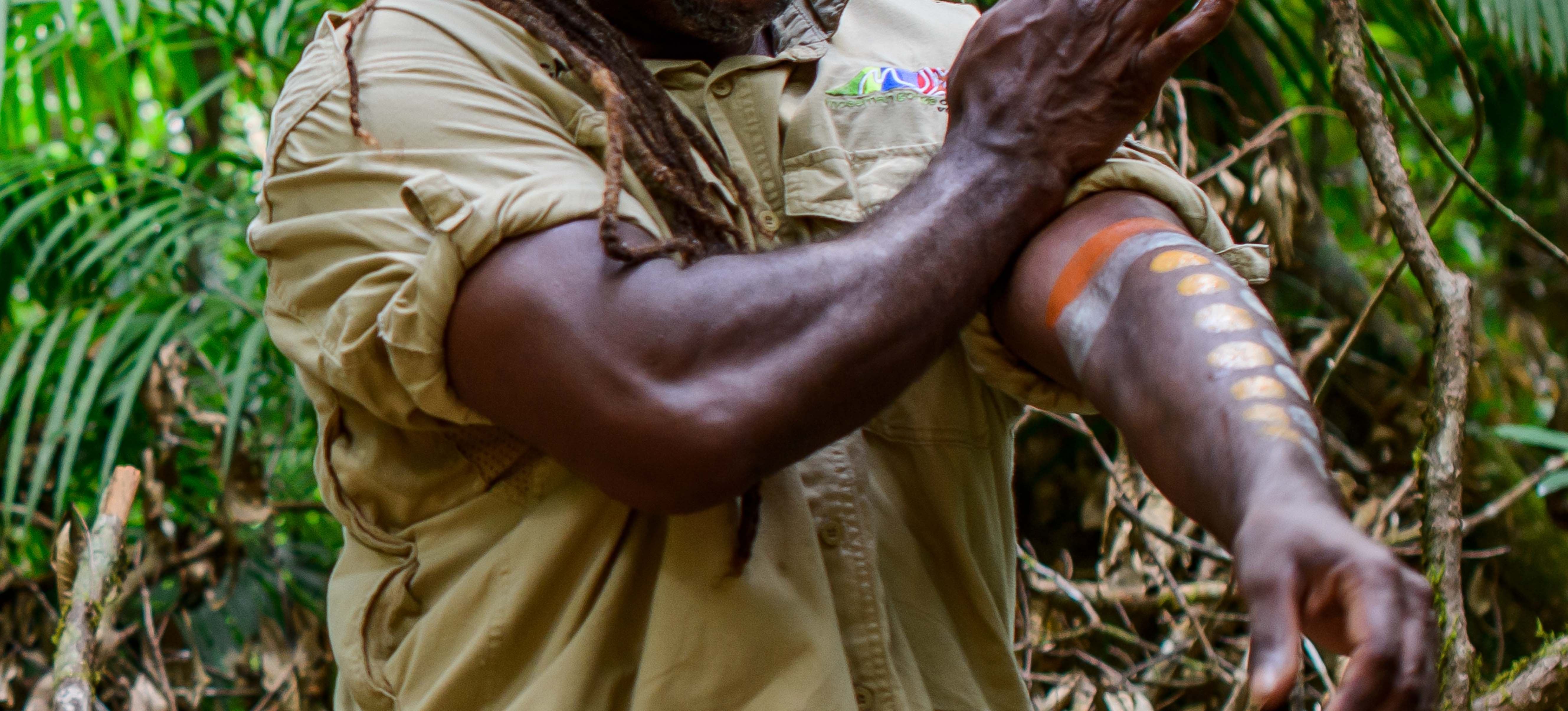 Guardians of the Land: Unveiling the Kuku Yalanji Tribe's Ancient Connection to Queensland's Landscape