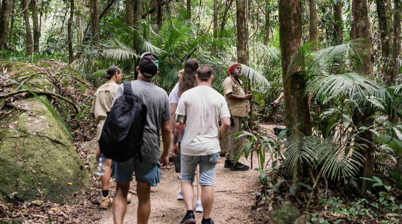 Group walking through Mossman Gorge on the Dreamtime Walk