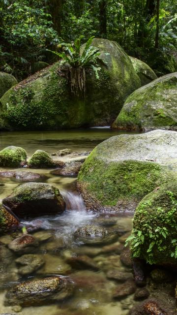 Careers Pages - Mossman Gorge Cultural Centre - Immerse Yourself in the Daintree Rainforest