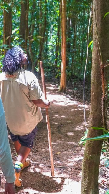 Mossman Gorge Walk